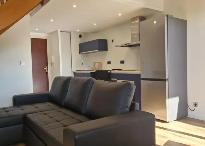 Duplex Moderne Et Lumineux Avec Piscine Et Parking Appartement