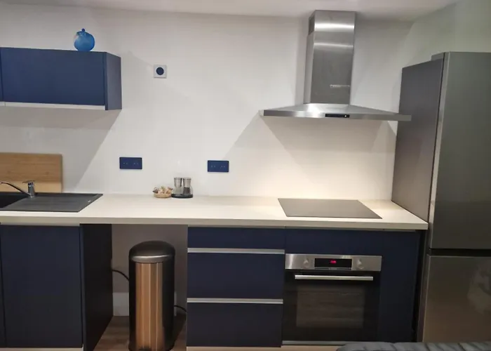 Duplex Moderne Et Lumineux Avec Piscine Et Parking * Toulouse